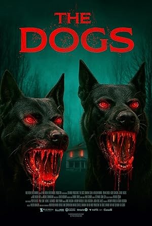 فيلم The Dogs 2025 مترجم فيلم The Dogs 2025 مترجم