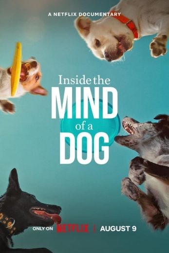 مشاهدة فيلم Inside the Mind of a Dog 2024 مترجم مشاهدة فيلم Inside the Mind of a Dog 2024 مترجم