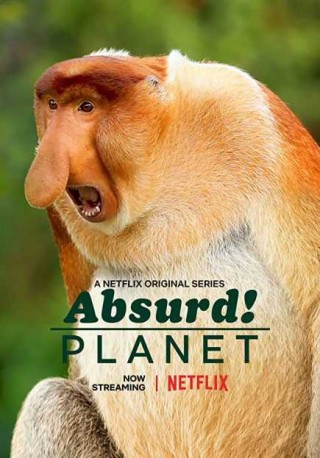 Absurd Planet Absurd Planet